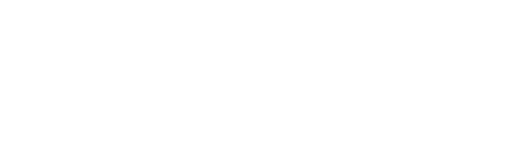 investor