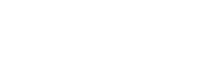 investor